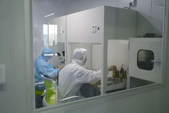 Cleanroom Clean Bench (laminar Flow Hood) For Mushroom Cultivation